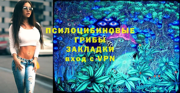 ALPHA-PVP Алексеевка