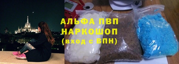 гашик Алексин