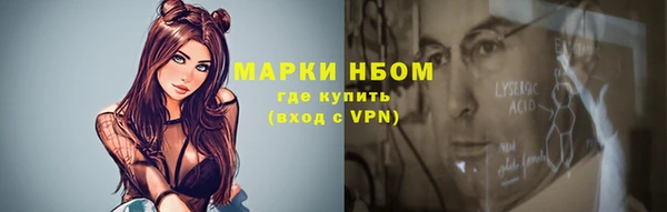гашик Алексин
