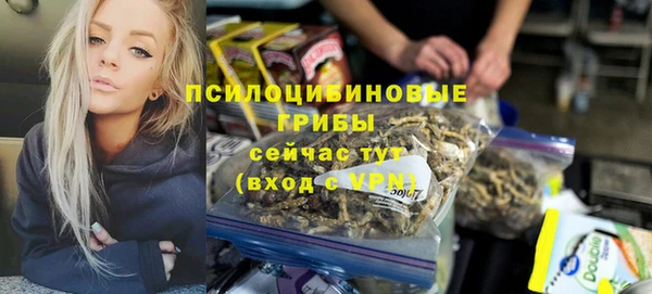 прущая мука Абаза
