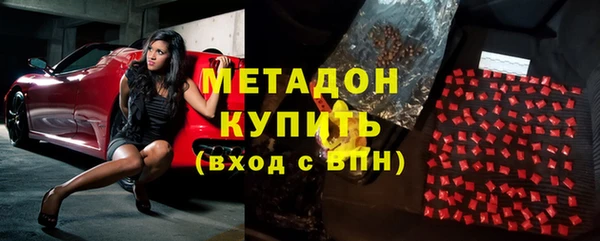 гашик Алексин