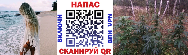 Бошки Шишки OG Kush Козловка